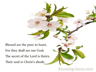 Pure In Heart (devotional) - poem